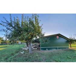 fattoria coki biofarm