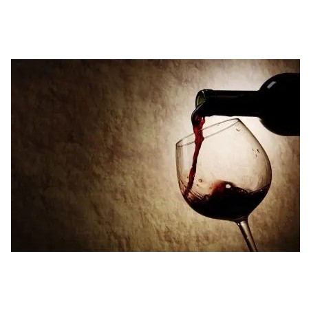 Adotta un Vigneto Aglianico