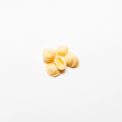 Orecchiette Artigianali | Grano 100% Lucano | Wezapp