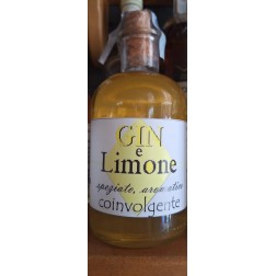 Gin e Limone Artigianale | Fragopollino | Wezapp