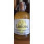 Gin e limone