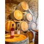 Adotta un Vigneto Chardonnay Lucano