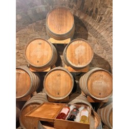 Adotta una Vite di Aglianico in Basilicata | Il Tuo Vino Rosso IGP