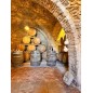Chardonnay bianco Lucano