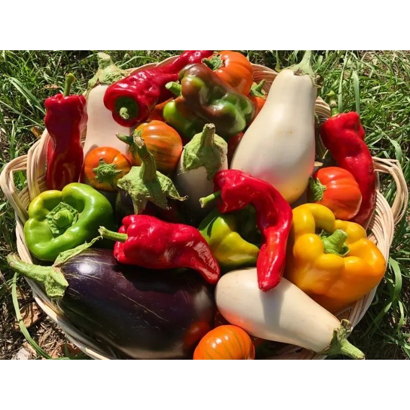 Adotta un campo di ortofrutta
