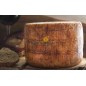 Pecorino "Abbraccio"