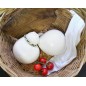 Caciocavallo Lucano