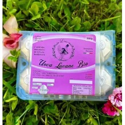 Uova fresce biologiche | Coki Biofarm | Wezapp