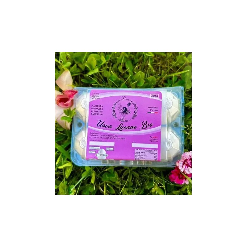 Uova fresce biologiche | Coki Biofarm | Wezapp