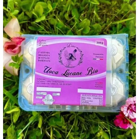 Uova fresce biologiche | Coki Biofarm | Wezapp